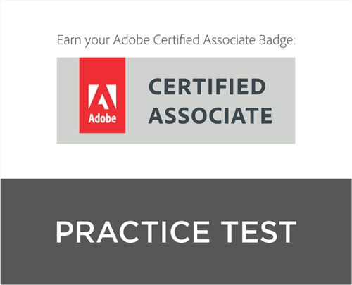 GMetrix ACA Practice Test Individual User License (single title)