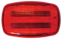 51081