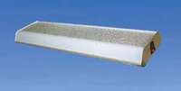 Lens For 134 Light