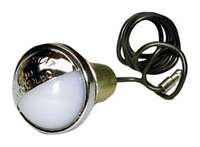 License Light-Clear