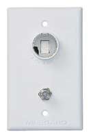 Outlet Wall--Ivory
