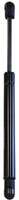 Door Gas Springs for RV's