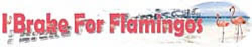 i-break-for-flamingos