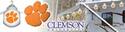 Clemson University 6 Ligh