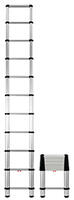 Consumer Telescoping Ladd