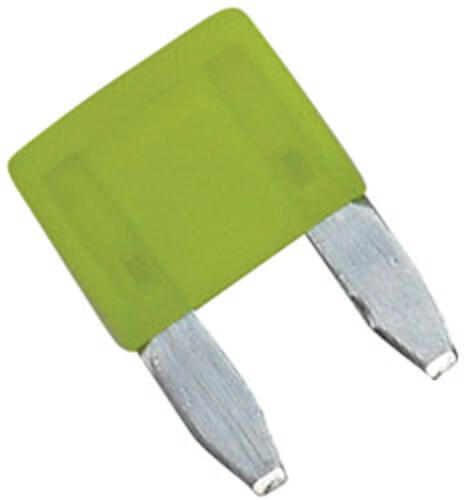 Int Fuse Asp Mini Blade 2