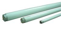 12 Volt Fluorescent Tube - F15t8/Cw - One Each