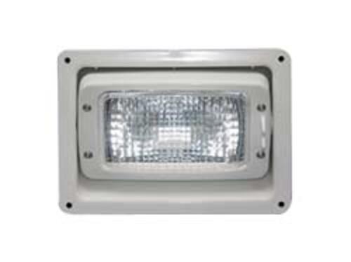 Adjustable Ramp Light