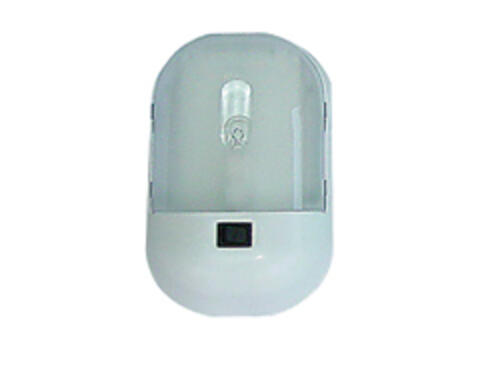001-901XPB, Single Dome Light