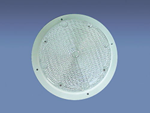 Security/Utility Light