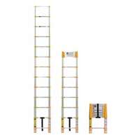 xtend-climb-770p-telescoping-12-5ft