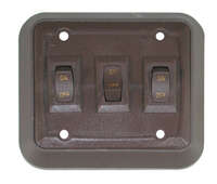 Switch w/Wall Plate Brown Triple