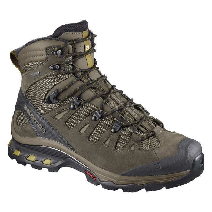 Salomon Men&#39;s Quest 4D 3 GTX Hiking Boots