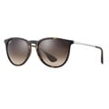 Ray-Ban Women's Erika Classic Sunglasses Wi