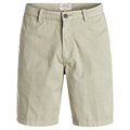 Quiksilver Men&#39;s Down Under 4 Shorts