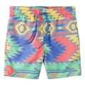 Rowdy Gentleman Men&#39;s Naitives Swim Trunks