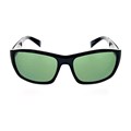 Optic Nerve Tundra Sunglasses