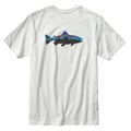 Patagonia Men's Fitz Roy Trout Tee Shirt alt image view 1