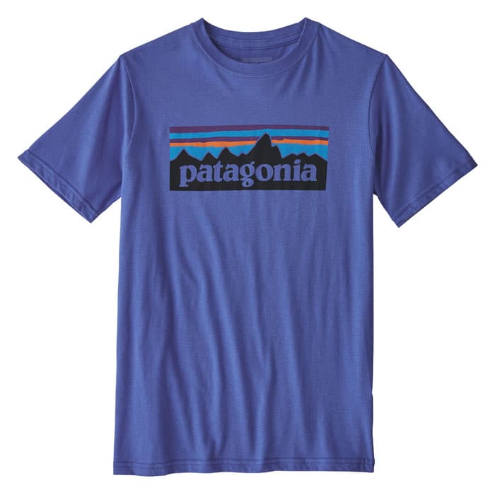 Patagonia Boy&#39;s P-6 Logo Organic Short Slee