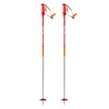 Volkl Men's Phantastick 2 Ski Poles