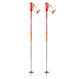 Volkl Men's Phantastick 2 Ski Poles