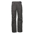 The North Face Men's Freedom Snow Pants