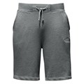 The North Face Men&#39;s Logo Shorts