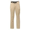 The North Face Men's Paramount 3.0 Pants