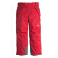 The North Face Boy&#39;s Freedom Insulated Ski