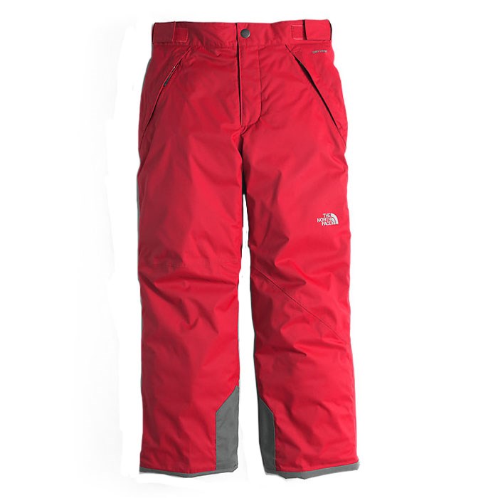 The North Face Boy&#39;s Freedom Insulated Ski