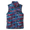 Patagonia Men's Light Weight Synchilla Snap-t Vest alt image view 11