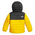 The North Face Toddler Boy's Reversible Mount Chimborazo Winter Jacket alt image view 2