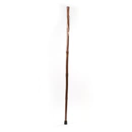 Brazos Free Form Iron Bamboo 55" Walking Stick