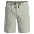 Quiksilver Men's Bridgewater 2 Shorts alt image view 4