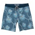 Billabong Men's Sundays Lo Tides Boardshorts