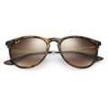 Ray-Ban Women's Erika Classic Sunglasses Wi