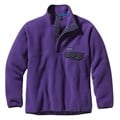 Patagonia Men's Synchilla Snap-T Fleece Pullover alt image view 6