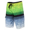 O'neill Men's Calypso Boardshorts