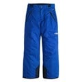 The North Face Boy's Freedom Insulated Pants