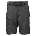 The North Face Men's Paramnt Trail Shorts