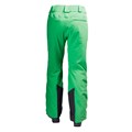 Helly Hansen Men's Force Insulated Ski Pants