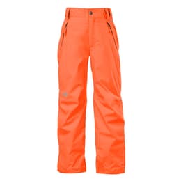 The North Face Boy's Freedom Insulated Snow Pants