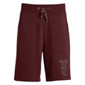 The North Face Men's Americana Fleece Shorts