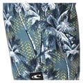 O&#39;neill Men&#39;s Darn Old Palmer Boardshorts