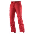 Salomon Women's Stormspotter Ski Pants