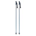 Swix Excalibur Ski Poles &#39;19