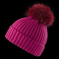 Mountain Force Women's Almond Beanie with F