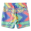 Rowdy Gentleman Men&#39;s Naitives Swim Trunks