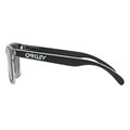 Oakley Frogskins Eclipse Collection Sunglas