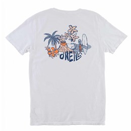 O'Neill Men's Simich T-shirt